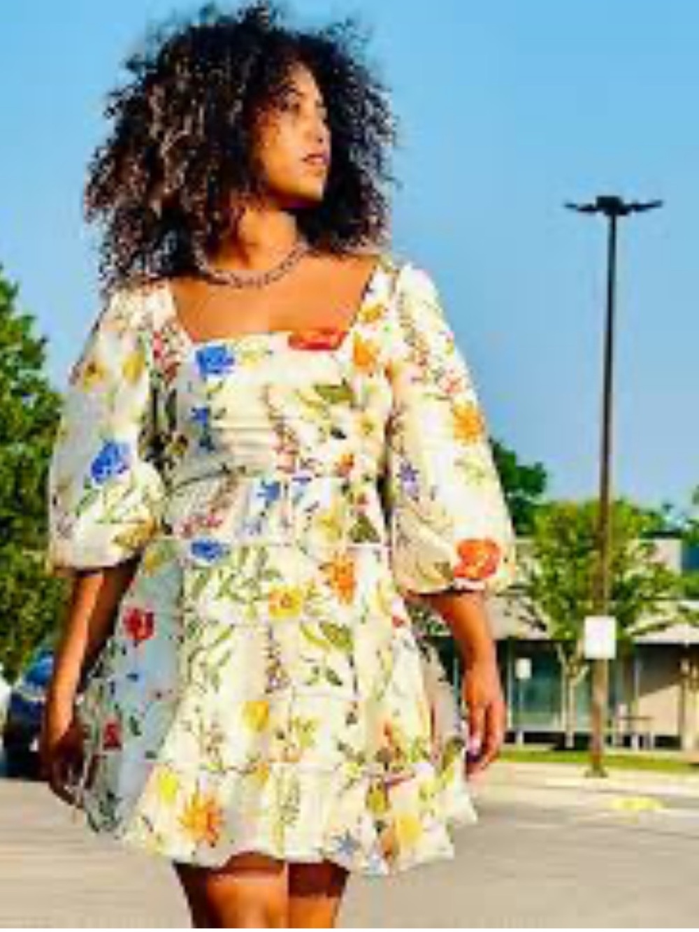 Ever New Melbourne Floral Mini Dress Flare Skirt Puff Sleeves Garden Fairy Sz. 6